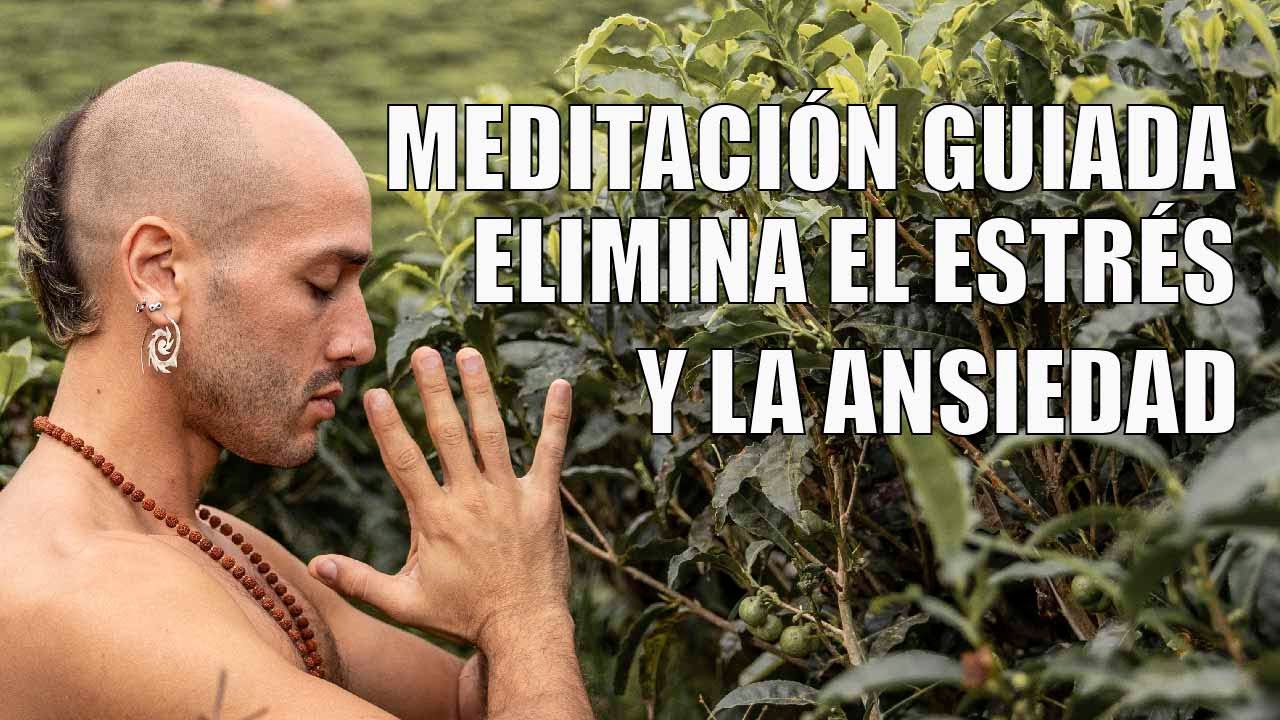 Meditación guiada para aliviar la ansiedad, eliminar el estrés y ...