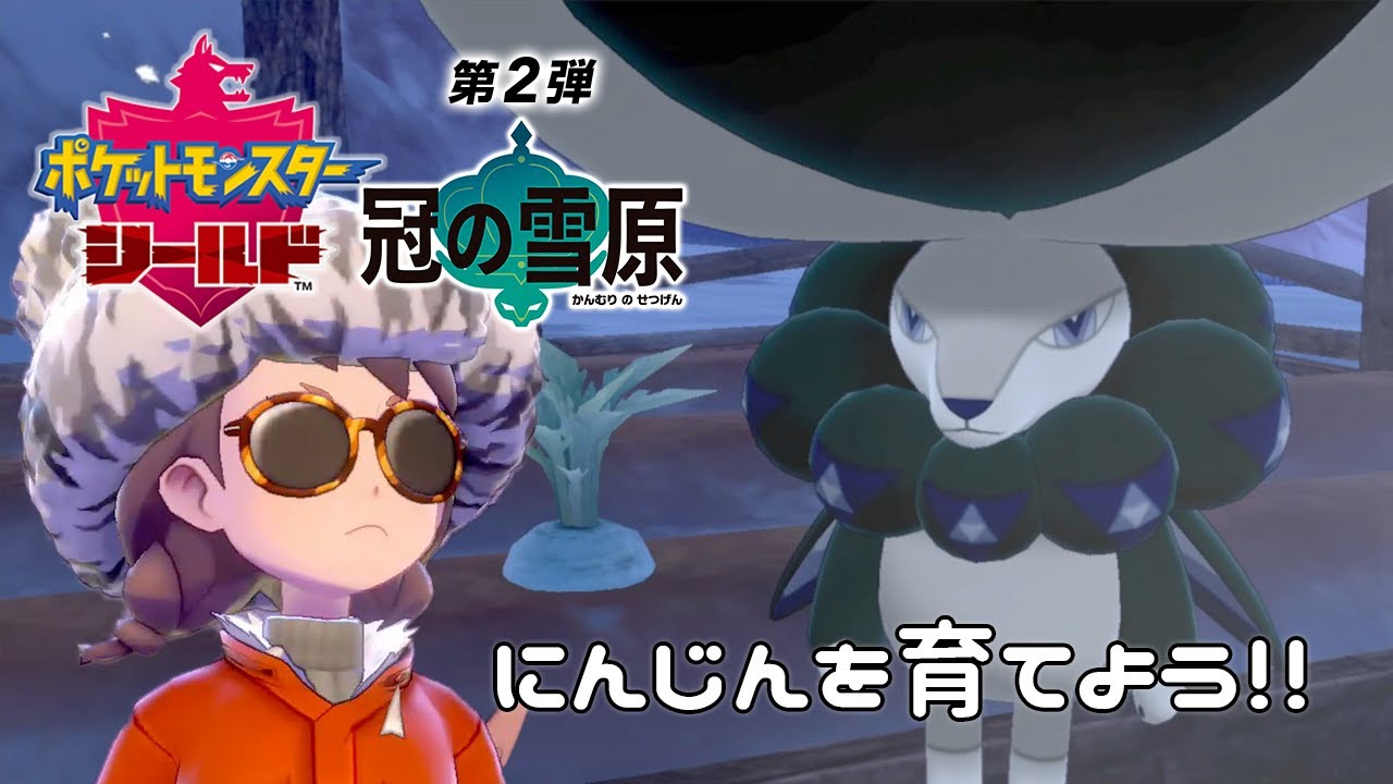ポケモン にんじん ポケモン冠の雪原 にんじんはどっちを植える おすすめの愛馬 剣盾 ゲームエイト ポケモン にんじん ポケモン冠の雪原 にんじんはどっちを植える おすすめの愛馬 剣盾 ゲームエイト