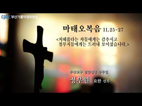 영상썸네일