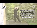 Shibashi Qigong Health exercise 11-12 strengthen heart and lungs help kidney Bladder function
