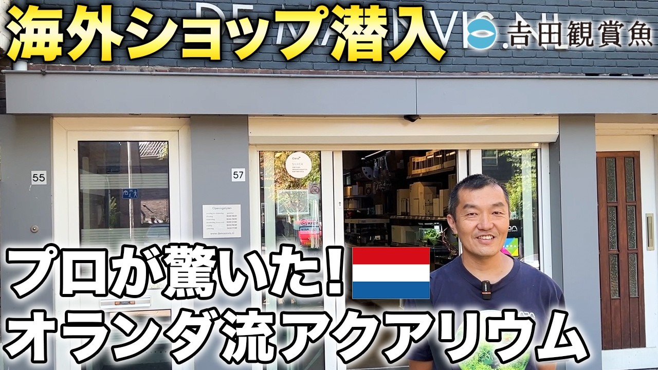 Overseas Inspection] The Dutch Aquarium Shop is Amazing! We even