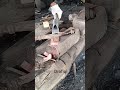 Iron cutting on Dodos blade #traditionalblacksmith #handycraft #forgingprocess