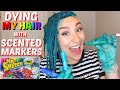 DYING MY HAIR WITH SCENTED MARKERS!