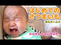 初めてのさつまいも♪最後は珍しく大泣きしました【生後六ヶ月赤ちゃん】6 months baby eating sweet potato for the first time.