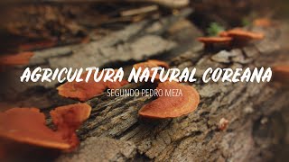 Korean Natural Farming according to Pedro Meza (Documentary)