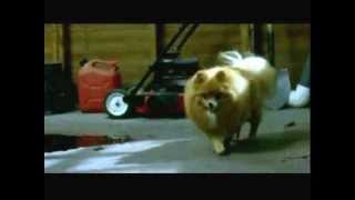 Copy Of Stuck Movie Clip.wmv