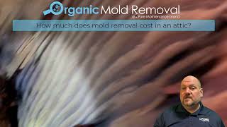 Organic Mold Removal | How much does mold removal cost in an attic?