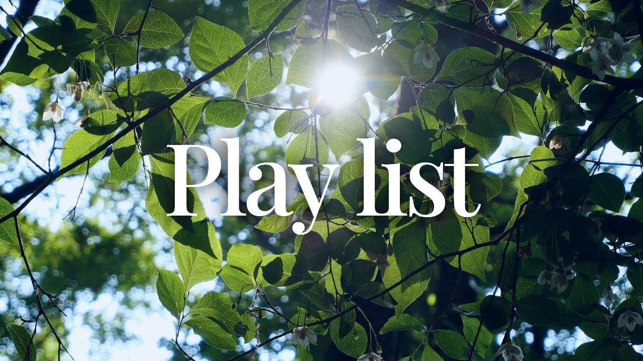 Playlist🎧카페 사장님이 픽한 플레이리스트 | ☕ Work | Study | Focus | Lo-fi | Café Jazz | Chill Beats