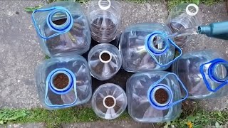 How to start seeds outside-Mini greenhouse for seedlings