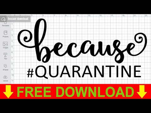 Because Quarantine Svg Free Cutting Files for Silhouette Cameo Free Download