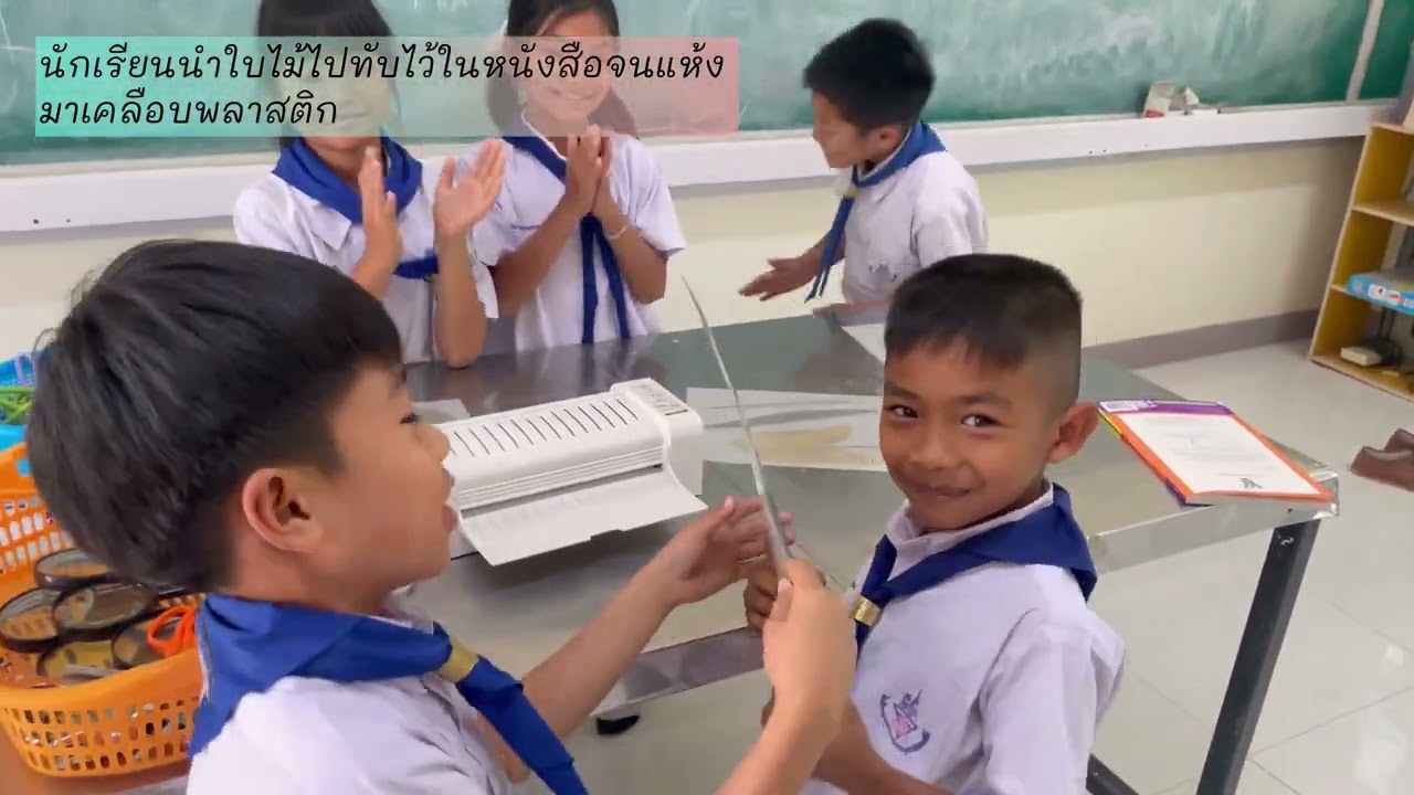 การสืบเสาะอิสระ เรื่อง หัศจรรย์เส้นใบแสนสนุก โรงเรียนอนุบาลพระบรมราชานุสรณ์ดอนเจดีย์