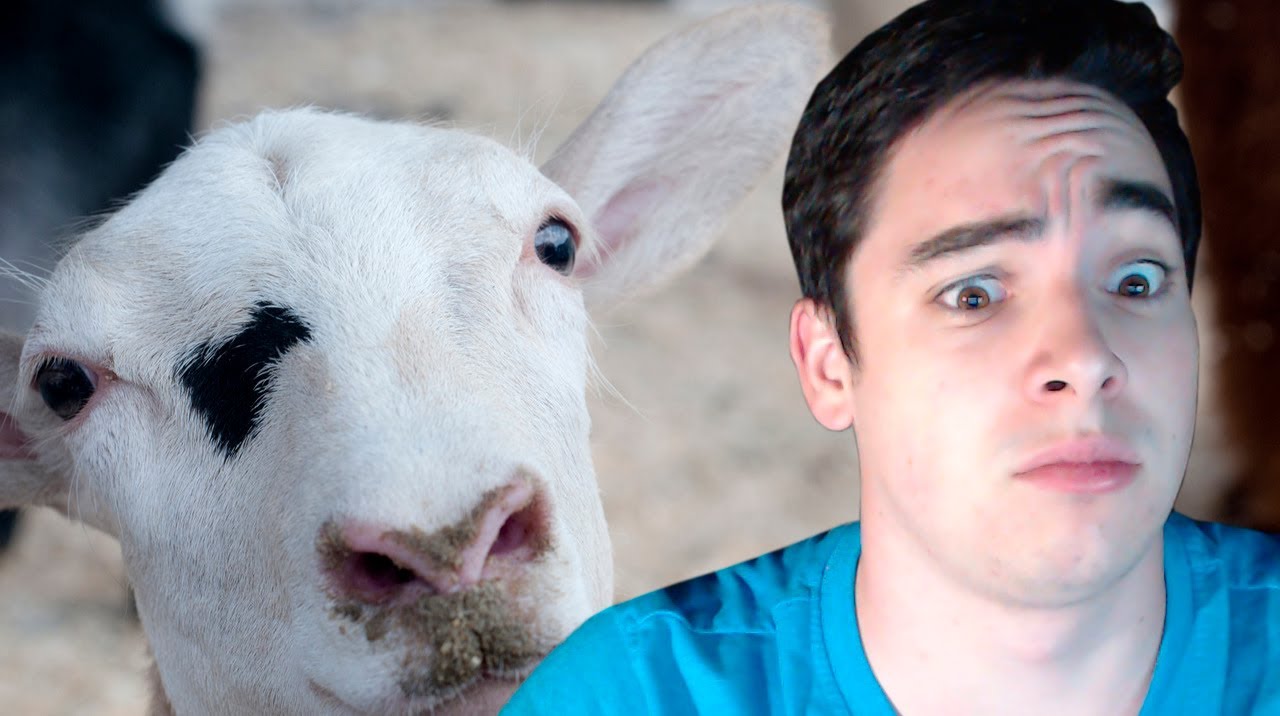 GOAT PETTING SIMULATOR! - Hilarious yet so pointless! (Download link)