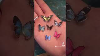 How to make Realistic Miniature Butterflies!! #shorts #youtubeshorts screenshot 5