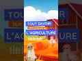 Explore le Salon de l’Agriculture en France : les animaux de la ferme au rendez-vous ! #kids #ferme