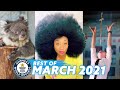 BEST OF MARCH 2021 - Guinness World Records