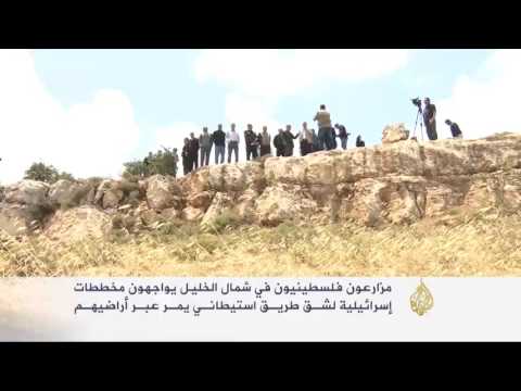 مخططات لشق طريق استيطاني عبر مزارع بالخليل