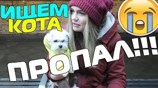 Кот Кева ПРОПАЛ!!! ГДЕ КЕВИН? МЫ В ШОКЕ!