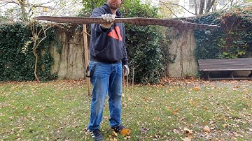 Bow with Snakeskin Backing