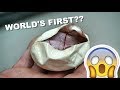 Billy loses his mind  crazy worlds first ball python 