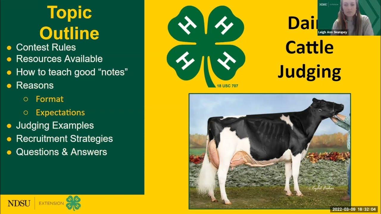 ND 4H Coaches inar Series Dairy Cattle Judging YouTube