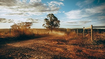 Managing Veld Nutrition: Sweet and Sour Grasses Explained