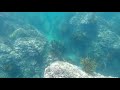 素潜り漁でウツボのカップルに遭遇した。かわいい! #素潜り漁 #JapaneseFishermen #underwateradventure