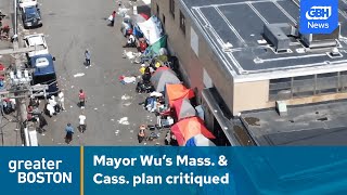 Mayor Wu’s Mass. & Cass. plan has some residents skeptical
