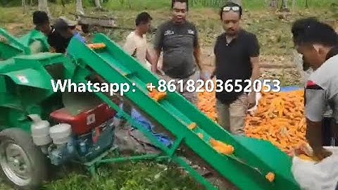 feedback video of maize sheller and threshing machine corn thresher and sheller from Indonesia