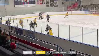 Detalles 3-10-2023 CAHA State Tourney Game 2 vs Rampage Noticias