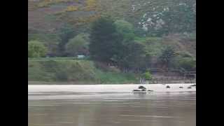 Playa de Barro - Llanes (Asturias)