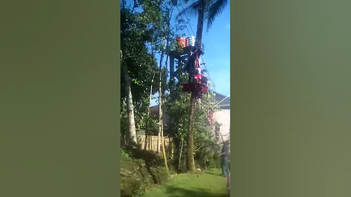 Flying Fox Gerard Lukas