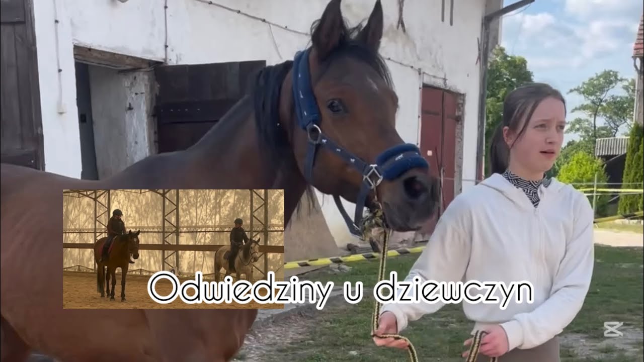 Vlog#92|| Odwiedziny w stajni u dziewczyn 🥰