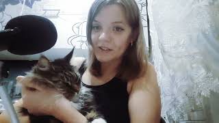 ASMR CHEWING GUM AND CAT