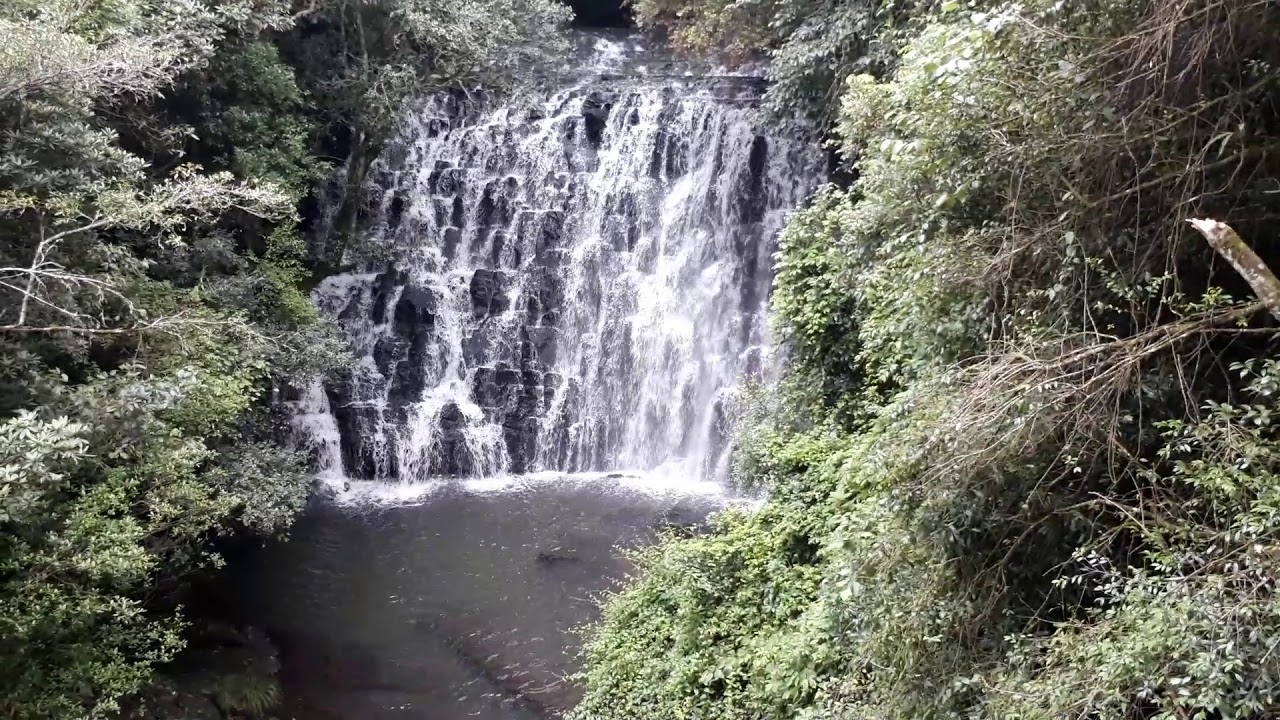 Arsenal Elephant Fall Elephants fall - YouTube