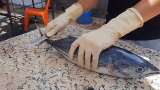 أسهل طريقة لتنقية و تقطيع سمك بونيط أو بونيطو ، نوع من التونة