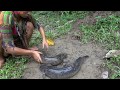 Survival skills - Primitive Life Build Fish Trap From Deep Hole Catch Big catfish