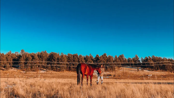 LIVING IN THE MOUNTAINS  Pasture fencing, planting, and cozy cooking | Natalia Leigh