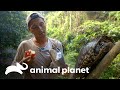Frank se aproxima de 3 espécies incríveis de tartarugas | Wild Frank | Animal Planet Brasil