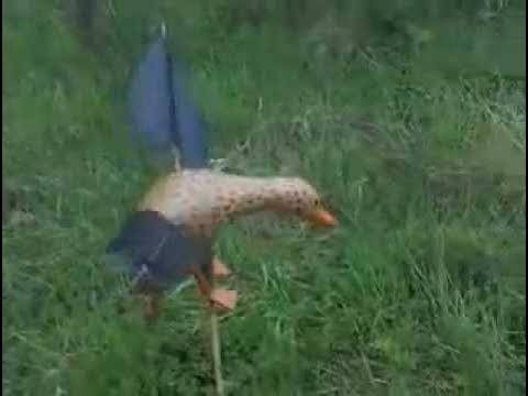 Чучело с рулем на ветре. Махокрыл для охоты на уток. Пугало утка. Чучела уток с машущими крыльями для охоты. Чучело утки махокрыл.