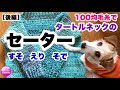 【タートルネックのセーター】かぎ針編み⭐️編み方⭐️100均毛糸☆ダイソー☆how to crochet a fluffy sweater⭐︎後編