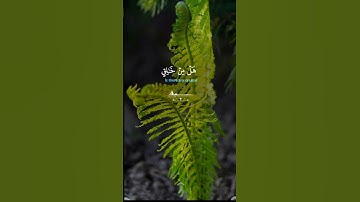 اذكر نعمه الله عليك دائما سورة فاطر #تابعوني #اكسبلور #دويتو #كامري #قران_كريم #ترند #duet #لايك#مصر