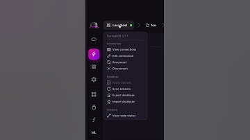 Surrealist Tips: Exporting & Importing Databases