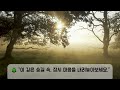 [자연 속 1시간 쉼] 시니어를 위한 숲속 산림 테라피 🌲 | 말 없는 회상 &amp; 힐링