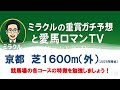 京都競馬場　芝1600m 外回りの特徴　ミラクルの重賞ガチ予想と愛馬ロマンTV　＃マイルチャンピオンシップ　＃マイラーズカップ　＃デイリー杯2歳S ＃京都金杯　＃シンザン記念　＃競馬