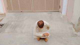 Man To Snake Transformation