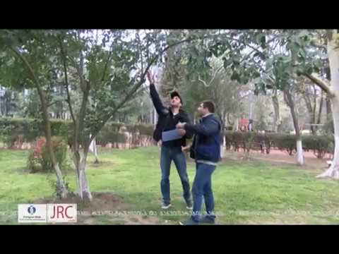 როგორია ფერომონების შედეგები საქართველოს რეგიონებში 17 04 18