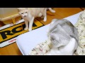 くさいっスか？(￣▽￣；)