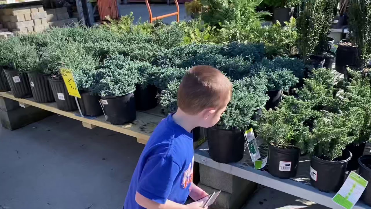 Home Depot Flower Department Kid Vlog YouTube