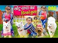 Chotu dada ka disco kutta        khandesh hindi comedychotu dada new comedy