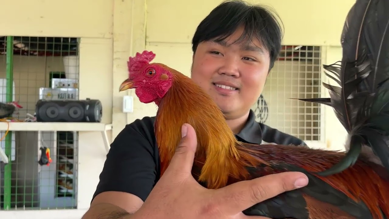 Dito ulit tayo sa RJJ GameFarm